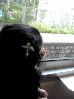20100906162221.jpg