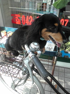 20110628142013.jpg