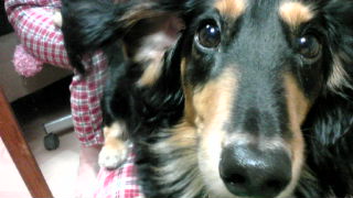 20111014015648.jpg